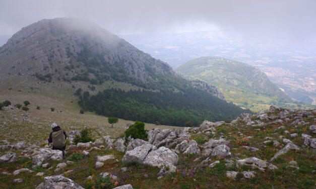 Monte Sellaro