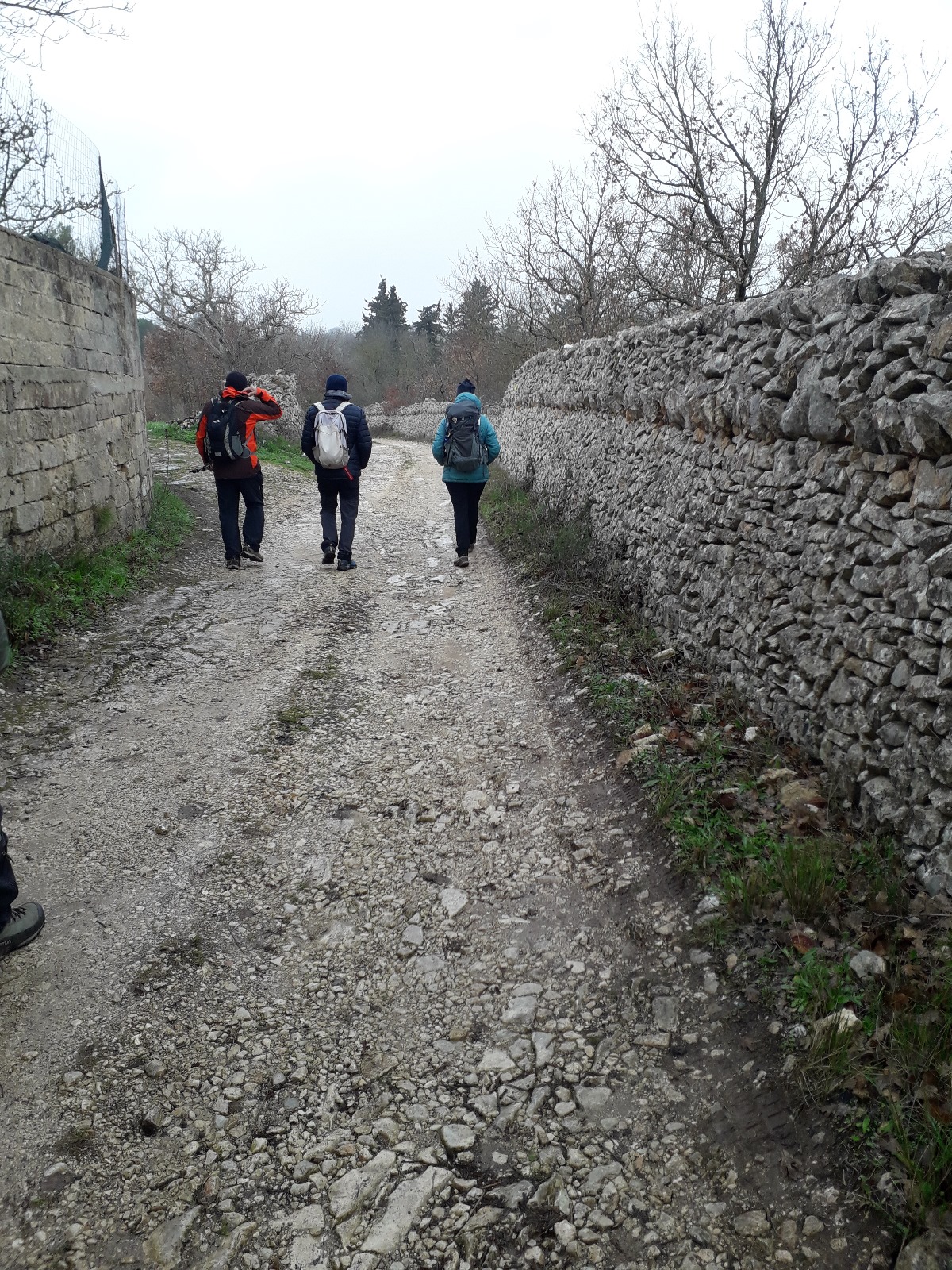 Cammino Materano  La Via Peuceta  Santeramo- Altamura